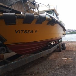 Vitsea II