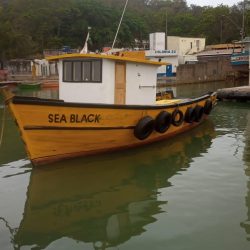 Sea Black